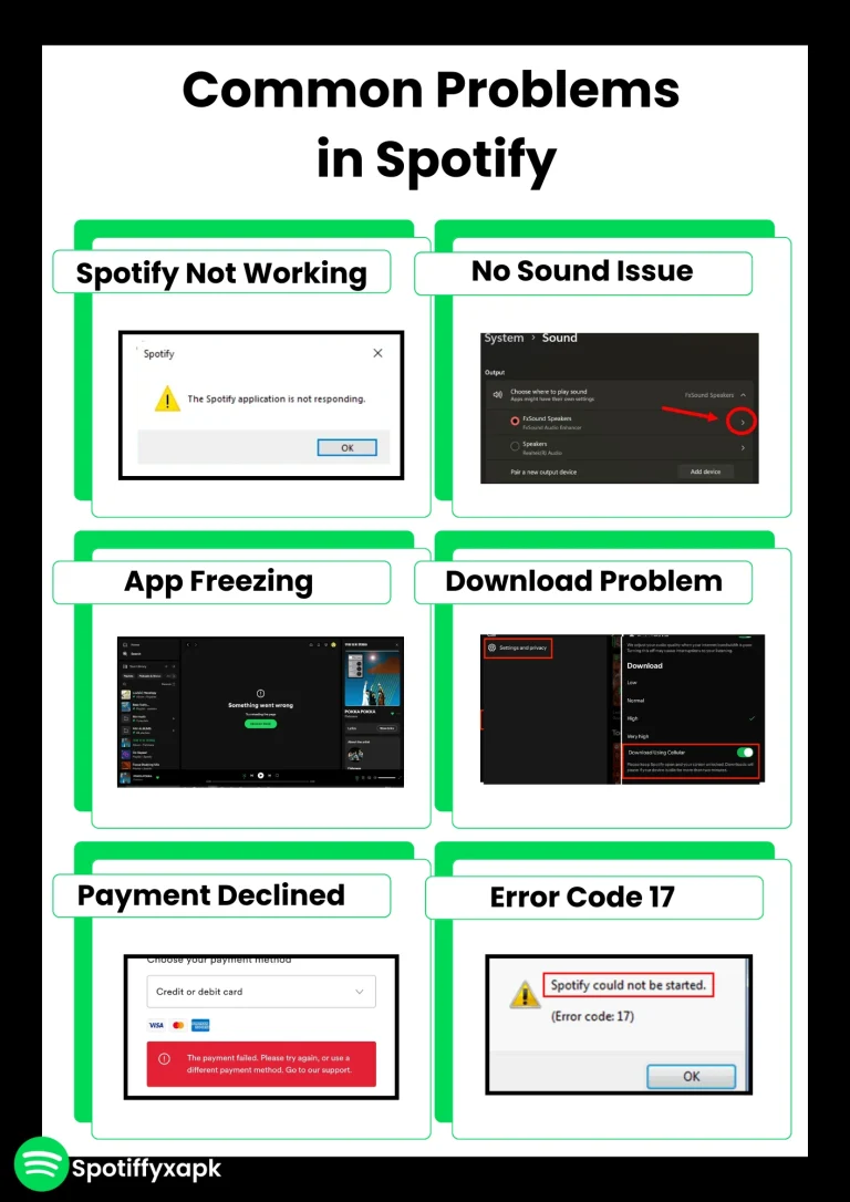 spotify troubleshooting infographic